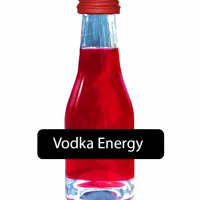 Alcoholic Party Shooters 20ml 10% alc
